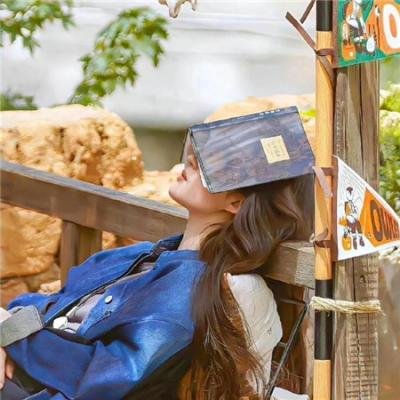 傀儡王大战恶魔玩具